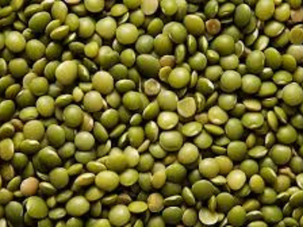 green lentis whole