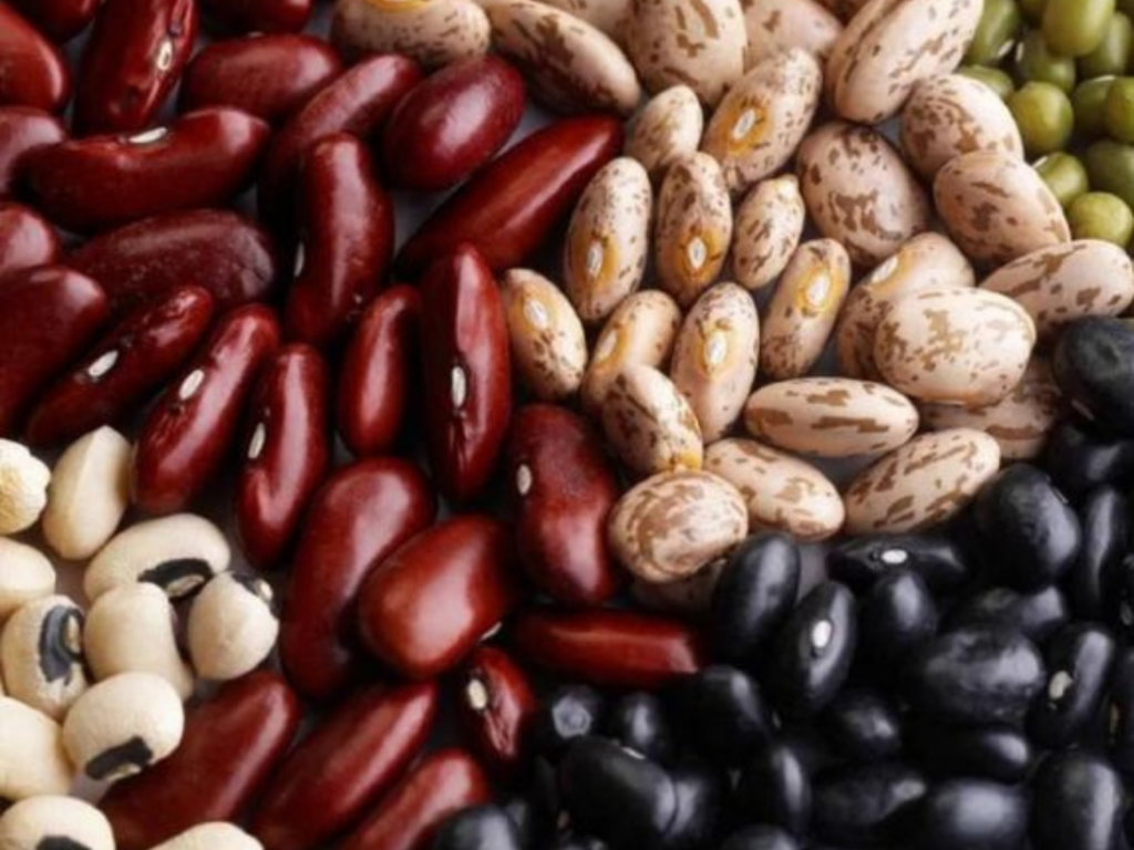 kidney beans